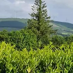 Vakantiehuis Yellow Heights Tinahely