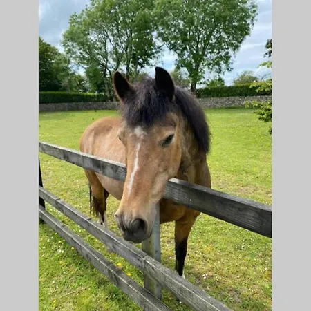 Σπίτι διακοπών Yellow Heights Tinahely