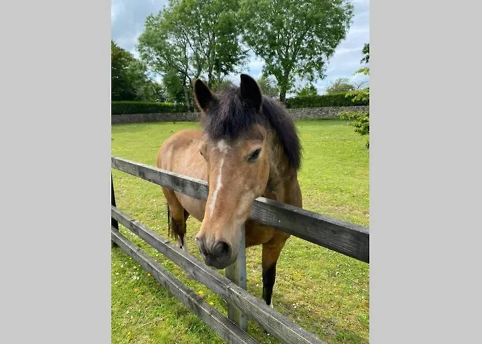 Casa vacanze Yellow Heights Tinahely