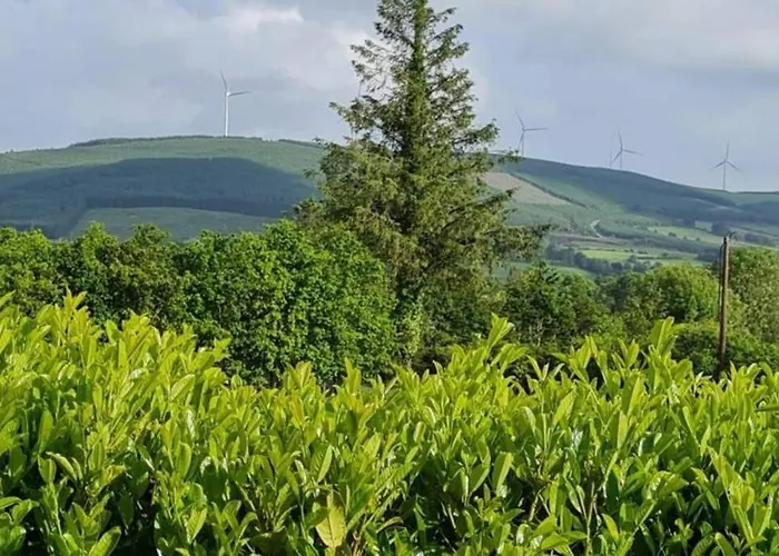 度假居 Yellow Heights Tinahely